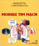 Tìm hiểu Module Tim mạch: Phần 2 - TS. Hoàng Thu Soan