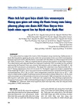 Phân tích kết quả hiệu chỉnh liều vancomycin thông qua giám sát nồng độ thuốc trong máu bằng phương pháp ước đoán AUC theo Bayes trên bệnh nhân người lớn tại Bệnh viện Bạch Mai