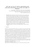 Hấp thụ quang từ trong borophene đơn lớp dưới ảnh hưởng của tương tác điện tử – phonon