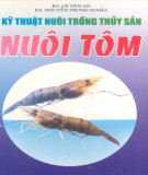 Kỹ thuật nuôi nuôi tôm: Phần 2