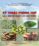 Phòng trừ sâu bệnh hại cây hồ tiêu: Phần 2