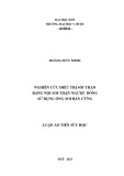 Luận án Tiến sĩ Y học: Nghiên cứu điều trị sỏi thận bằng nội soi thận ngược dòng sử dụng ống soi bán cứng