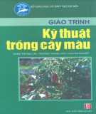 Giáo trình Kỹ thuật trồng cây màu: Phần 2