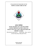 Giáo trình Hệ thống máy lạnh công nghiệp - Chương trình đào tạo chất lượng cao (Nghề: Kỹ thuật máy lạnh và điều hòa không khí - Trình độ: Cao đẳng) - Trường Cao đẳng nghề Cần Thơ