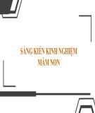 Sáng kiến kinh nghiệm Mầm non: Một số kinh nghiệm về quản lý, chứng từ sổ sách kế toán