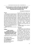 Tán sỏi thận qua da điều trị sỏi thận trên bệnh nhân thận móng ngựa: Nhân hai trường hợp sỏi thận trên bệnh nhân thận móng ngựa