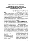 Đánh giá kết quả ứng dụng khung cố định ngoài phẫu thuật điều trị gãy đầu trên xương chày tại Bệnh viện Đa khoa Xanh Pôn