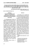 Tỉ lệ mắc tiền đái tháo đường hoặc đái tháo đường typ 2 tại thời điểm 12 tuần sau sinh ở bệnh nhân đái tháo đường thai kỳ được điều trị tại khoa điều trị ban ngày - Bệnh viện Nội tiết Trung Ương