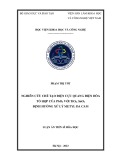 Luận án Tiến sĩ Hóa học: Nghiên cứu chế tạo điện cực quang điện hóa tổ hợp của PbO2 với TiO2, SnO2 định hướng xử lý metyl da cam