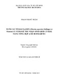 Tóm tắt Luận án Tiến sĩ Công nghệ sinh học: Nuôi cấy tế bào Xạ đen (Ehretia asperula Zollinger et Moritzi) in vitro để thu nhận sinh khối có khả năng tổng hợp Acid Rosmarinic