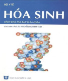 Hóa học và sinh học: Phần 2