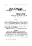 Đánh giá khả năng đối kháng của nấm trichoderma và xạ khuẩn đối với nấm Rhizoctonia solani gây bệnh thối lá trên rau xà lách (Lactuca sativa)