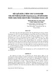 Hiệu quả quản lý bệnh cháy lá khoai môn của chế phẩm xạ khuẩn Streptomyces sp. AP4 đối kháng triển vọng ở điều kiện phòng thí nghiệm và nhà lưới