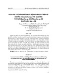 Đánh giá khả năng kiểm soát bệnh thán thư trên ớt do nấm Colletotrichum sp. của hai dòng vi khuẩn Bacillus sp. M3 và Bacillus sp. G5 ở điều kiện nhà lưới