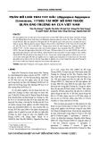 Phân bố loài trai tay gấu (Hippopus hippopus (Linnaeus, 1758)) tại một số đảo thuộc quần đảo Trường Sa của Việt Nam