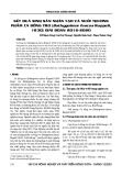 Kết quả sinh sản nhân tạo và nuôi thương phẩm cá bống tro (Bathygobius fuscus Ruppell, 1830) giai đoạn 2016-2020