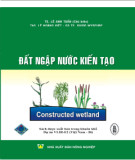 Công nghệ đất ngập nước kiến tạo: Phần 1 - TS. Lê Anh Tuấn (Chủ biên)