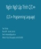 Bài giảng Cơ sở lập trình: Ngôn ngữ lập trình C/C++ - Trịnh Tấn Đạt