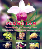 Hệ thống phân loại họ Phong lan