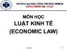 Bài giảng Luật Kinh tế (Economic Law) - Chương 7: Doanh nghiệp tư nhân (Private enterprise)