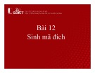 Bài giảng Xây dựng chương trình dịch: Bài 12 - Sinh mã đích