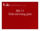 Bài giảng Xây dựng chương trình dịch: Bài 11 - Sinh mã trung gian