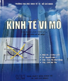 Nghiên cứu Kinh tế vi mô (Tái bản lần thứ XI): Phần 1