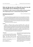 Đánh giá đáp ứng hoá xạ trị đồng thời ung thư vòm mũi họng tại Bệnh viện Tai Mũi Họng Trung ương