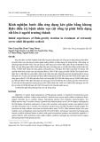 Kinh nghiệm bước đầu ứng dụng kéo giãn bằng khung Halo điều trị bệnh nhân vẹo cột sống tự phát biến dạng rất lớn ở người trưởng thành