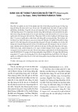 Đánh giá hệ thống tuần hoàn nuôi tôm tít (Harpiosquilla harpax  De Haan, 1844) thương phẩm đa tầng