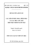 Tóm tắt Luận án Tiến sĩ Y học: Các chỉ số nhân trắc, hình thái và cấu trúc gốc mũi trên một nhóm người Việt