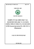 Luận án Tiến sĩ Dược học: Nghiên cứu đặc điểm thực vật, thành phần hóa học và tác dụng chống viêm in vitro của cây dây đòn gánh (Gouania leptostachya DC.), họ táo ta (Rhamnaceae)