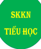 Sáng kiến kinh nghiệm Tiểu học: Chỉ đạo giáo dục kỹ năng sống thông qua hoạt động trải nghiệm cho học sinh trường Tiểu học Cổ Đô