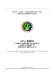 Giáo trình Điện tử công suất (Nghề: Cơ điện tử - Trung cấp) - Trường Cao đẳng Cơ giới (2022)