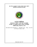 Giáo trình Thực tập tốt nghiệp (Nghề: Tự động hoá công nghiệp - Trung cấp) - Trường Cao đẳng Cơ giới (2022)