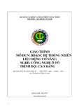 Giáo trình Bảo dưỡng và sửa chữa hệ thống nhiên liệu động cơ xăng (Nghề: Công nghệ ô tô - Cao đẳng) - Trường Cao đẳng Cơ giới (2022)