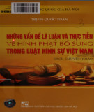 Hình phạt bổ sung trong luật hình sự Việt Nam - Những vấn đề lý luận và thực tiễn: Phần 2