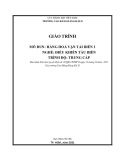 Giáo trình Hàng hóa vận tải biển 1 (Nghề: Điều khiển tàu biển - Trình độ: Trung cấp) - Trường Cao đẳng Hàng hải II