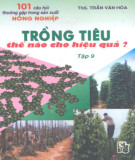 Cách trồng tiêu thế nào cho hiệu quả (Tập 9): Phần 2