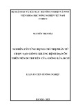 Luận án Tiến sĩ Nông nghiệp: Nghiên cứu ứng dụng chỉ thị phân tử chọn tạo giống kháng bệnh đạo ôn trên nền di truyền của giống lúa BC15