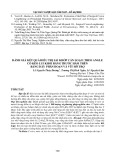 Đánh giá kết quả điều trị sai khớp cắn loại I theo angle có kéo lui khối răng trước hàm trên bằng dây phân đoạn và vít hỗ trợ