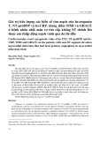 Giá trị tiên lượng các biến cố tim mạch của hs-troponin T, NT-proBNP và hs-CRP, thang điểm TIMI và GRACE ở bệnh nhân nhồi máu cơ tim cấp không ST chênh lên được can thiệp động mạch vành qua da thì đầu