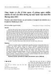 Thực hành và yếu tố liên quan về phòng ngừa nhiễm khuẩn vết mổ của điều dưỡng tại một bệnh viện tỉnh Hải Dương năm 2021