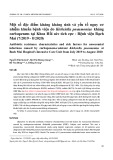 Một số đặc điểm kháng kháng sinh và yếu tố nguy cơ nhiễm khuẩn bệnh viện do Klebsiella pneumoniae kháng carbapenem tại Khoa Hồi sức tích cực - Bệnh viện Bạch Mai (7/2019 - 8/2020)