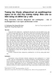 Tương tác thuốc allopurinol và azathioprine nguy cơ ức chế tủy xương nặng: Báo cáo ca lâm sàng và điểm lại y văn