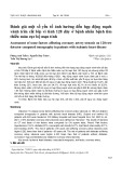 Đánh giá một số yếu tố ảnh hưởng đến hẹp động mạch vành trên cắt lớp vi tính 128 dãy ở bệnh nhân bệnh tim thiếu máu cục bộ mạn tính