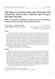 Ảnh hưởng của viên nang Trường Xuân CB tới một số chỉ số huyết học, sinh hóa máu và hình ảnh một số cơ quan trên chuột cống trắng