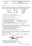 Đề thi chọn học sinh giỏi môn Sinh học lớp 12 năm 2022-2023 có đáp án - Sở GD&ĐT Thái Bình