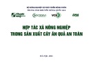 Hợp tác xã nông nghiệp trong sản xuất cây ăn quả an toàn