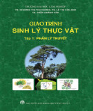 Giáo trình Sinh lý thực vật (Tập 1 - Phần lý thuyết): Phần 2